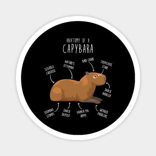 Capybara Anatomy Magnet